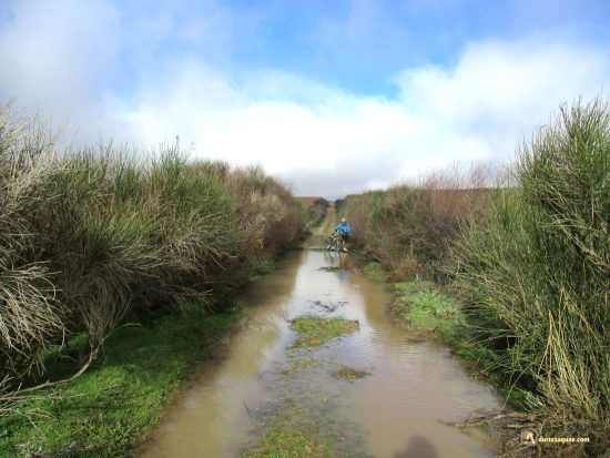 Caminos en La Seca, Valladolid
