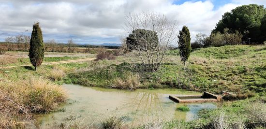 Fuente de Aquaverde. Pozaldez