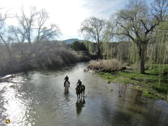 Peñafiel, caballos bebiendo