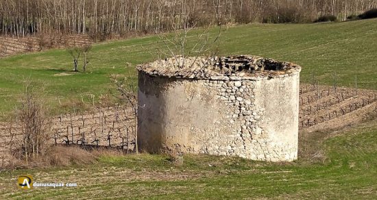 Palomar de El Olmar.