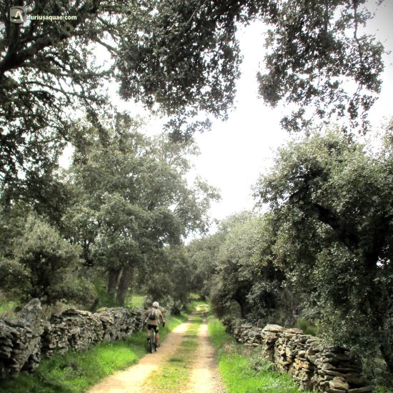 Caminos entre cortinas. Sayago