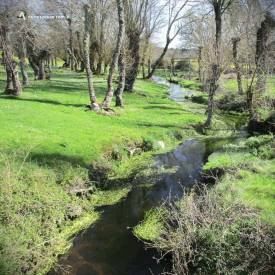 Moralina, Sayago, Zamora