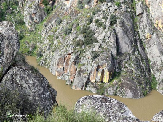 El Duero desde el término de Torregamones