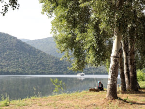 Playa Congida, Freixo