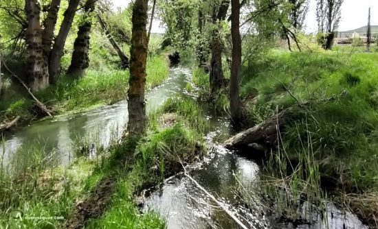 Torresandino, Henar y Esgueva