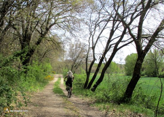 Cilleruelo de Abajo, arroyo del Henar
