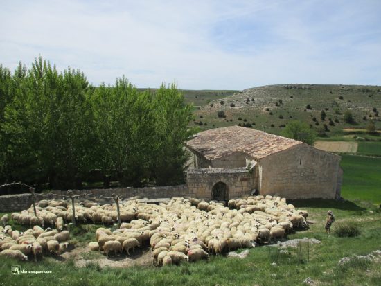 Terradillos de Esgueva, La Blanca