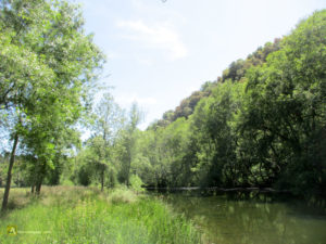 Río Manzanas. Frontera con Portugal
