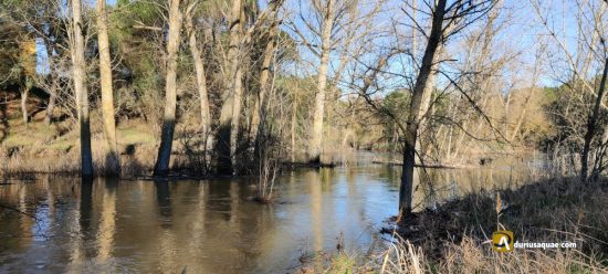 El Cega en invierno. Viana, Valladolid