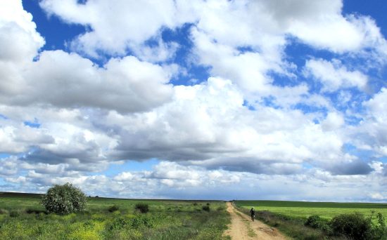 Horizontes de Tierra de Campos. Valladolid