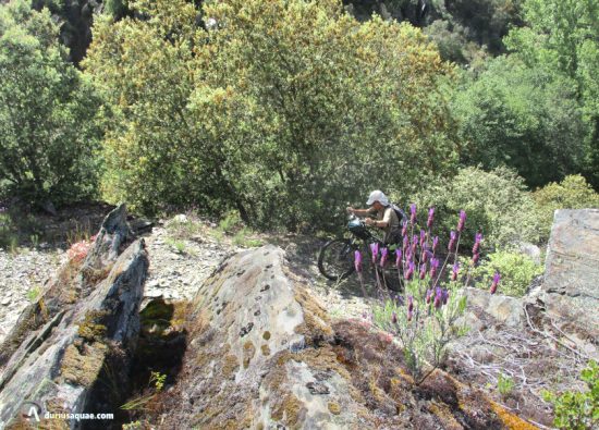 Rodando por Trabazos