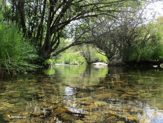 Río Pirón junto a la Cañada de la Vera de La Sierra