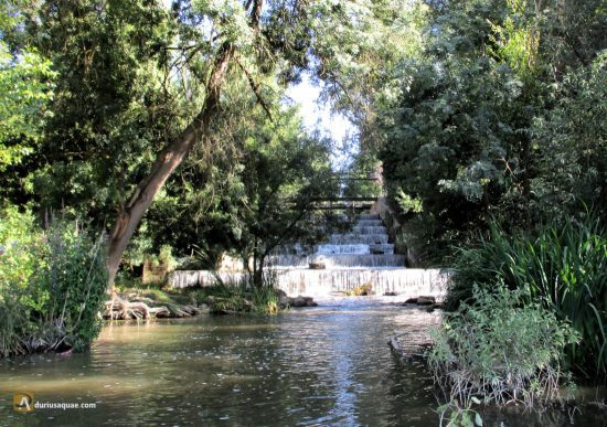 El Esgueva llega al Pisuerga. Valladolid