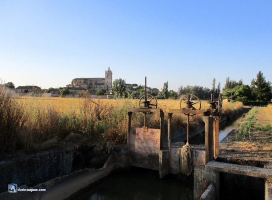 San Hipólito y el canal del Pisuerga, Támara de Campos, Palencia