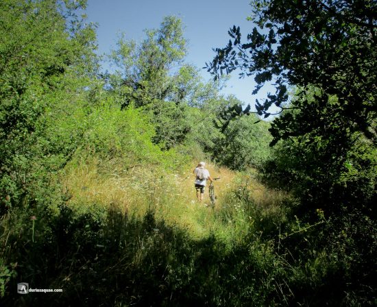 Caminos de Fonfría , Zamora