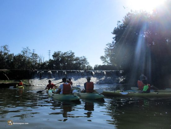 Kayaks en la presa del Cabildo, Valladolid