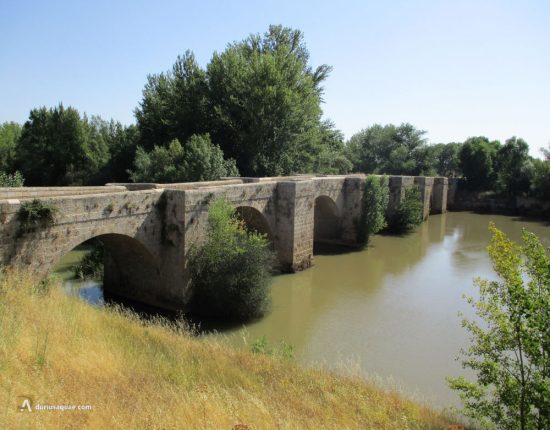 El Pisuerga en Lantadilla. Palencia