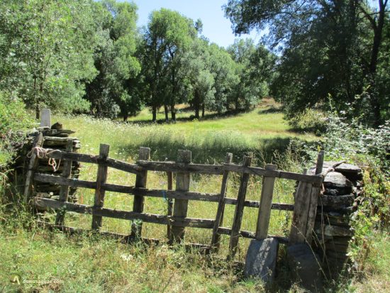 Praderas en Aliste, Zamora