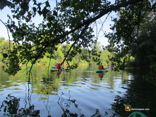 Kayaks en el Pisuerga