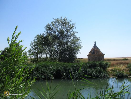 Alcantarilla de Requena de Campos, Canal de Castilla