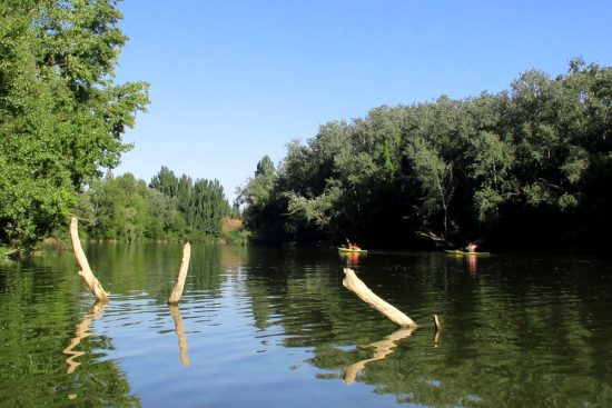 Pisuerga arriba del Puente Mayor