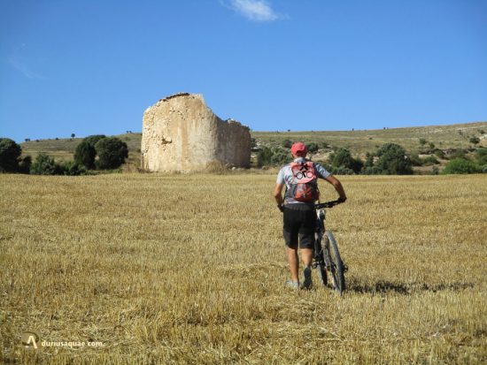 Miño de San Esteban, Soria