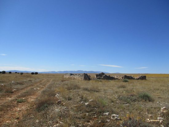 Vieja tenada en Cenegro. Fuentecambrón