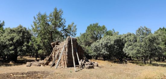 Montes de Valdanzuelo. Soria