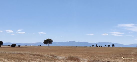 Tierras del Burgo. Sierra de Ayllón. Valdanzuelo
