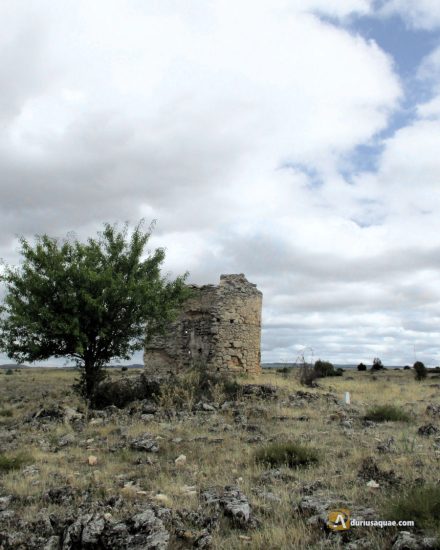 Ruinas de la ermita de San Vicente. Hinojosas del Cerro
