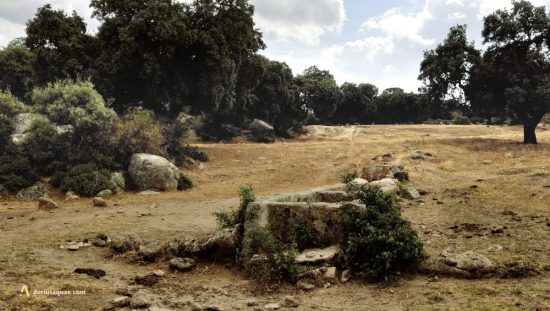 Cañada Real Leonesa Occidental en Altamiros