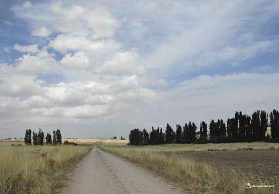 Campos de la Moraña, Muñoyerro, Ávila