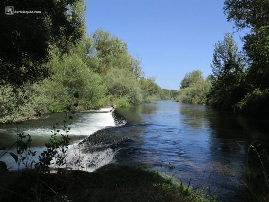 Valdepolo. Río Esla, León