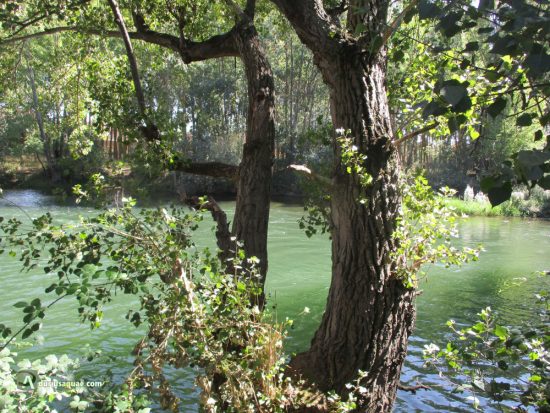 El Esla por Mansilla de las Mulas, León