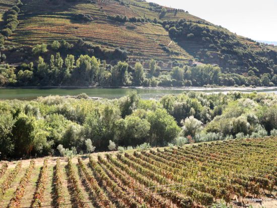 Douro en Peso da Régua