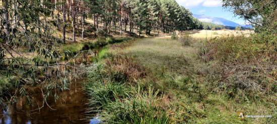 Río Boedo, por Castrejón de la Peña