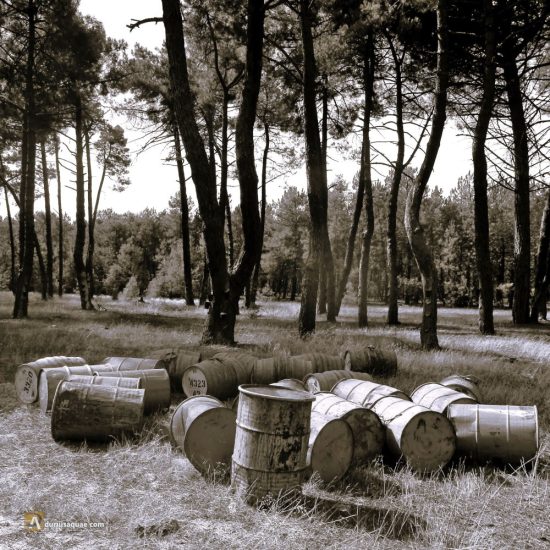 Resina en La Moraña, Ávila