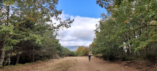 Caminos de La Ojeda, Palencia