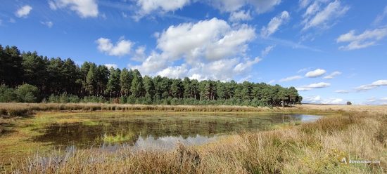 Laguna La Torre, Congosto de Valdavia