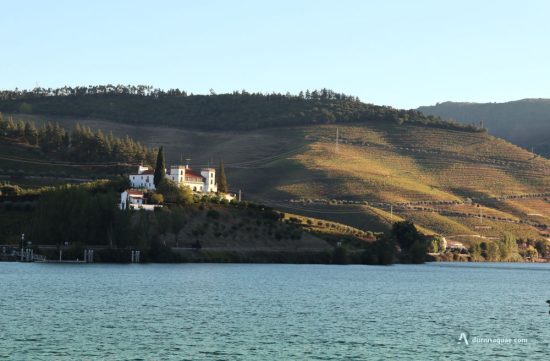 Atardecer en una quinta junto al Douro