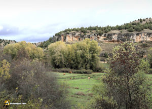 Cañón del río Pitón. TORREIGLESIAS . Segovia
