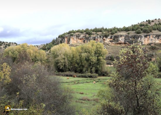 Cañón del río Pitón. TORREIGLESIAS . Segovia