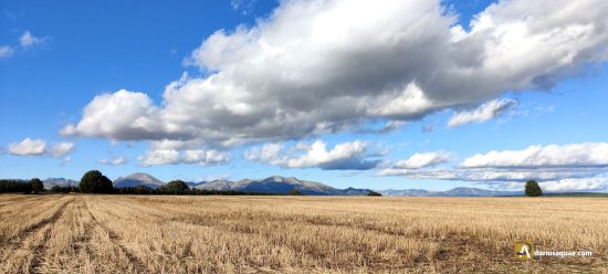 Norte de Palencia, Dehesa de Montejo