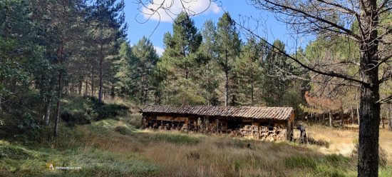 Colmenares junto al Boedo. Castrejón de la Peña