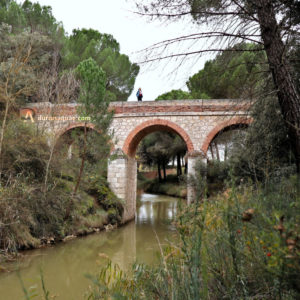 Puente de Piedra en el canal del Duero. Valladolid