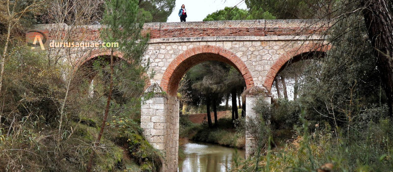 Puente de Piedra en el canal del Duero. Valladolid