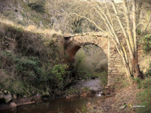 Arroyo Joyalada, Zamora