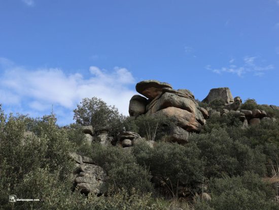 Arribanzos del Duero y del Esla