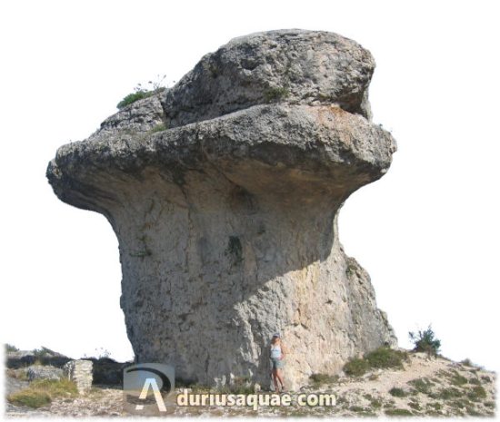 Una Tuerce, Palencia