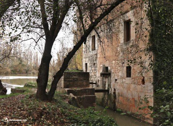 Restos Aceña de Quintanilla de Onésimo